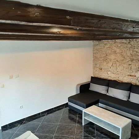 T3 Hyper-Centre Au Calme Tout Equipe Parking Prive Lejlighed Castres  Eksteriør billede